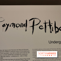 Underground : l'exposition ironique de Raymond Pettibon au Musée Picasso - nos photos - fotor 1760090607093