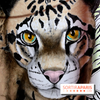 Les Bombasphères investissent le bar Balou à Paris 