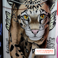 Les Bombasphères investissent le bar Balou à Paris 