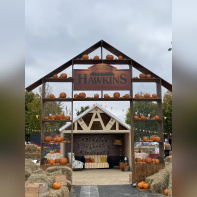 Val d’Europe : des animations insolites pendant les vacances de la Toussaint ! - IMG 1270