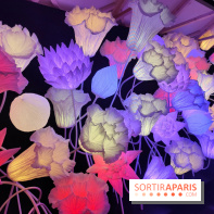 Jardiner : une exposition au cœur de la nature à vivre à la Cité des Sciences et de l'Industrie