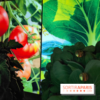 Jardiner : une exposition au cœur de la nature à vivre à la Cité des Sciences et de l'Industrie
