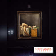 Jacques-Louis David au Louvre : l’exposition incontournable autour du peintre néoclassique - IMG 9651
