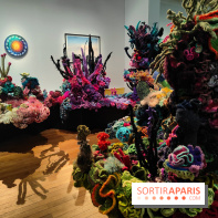 Migrations et climat : une exposition instructive au Palais de la Porte Dorée, nos photos - fotor 1760535417931