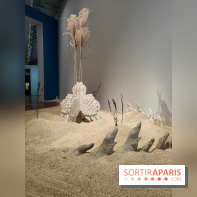 Migrations et climat : une exposition instructive au Palais de la Porte Dorée, nos photos