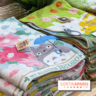 Maison Ghibli : le pop-up store officiel du studio d'animation japonais à Paris - 19382B21 7B50 40CF ADFF F01E1C4F5FE7