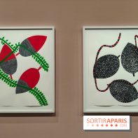 Exposition Générale : la Fondation Cartier raconte 40 ans d'expositions pour sa réouverture - fotor 1760960680040