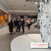 Exposition Générale : la Fondation Cartier raconte 40 ans d'expositions pour sa réouverture - fotor 1760960557390