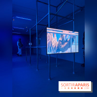 Ciel clair / eaux troubles : l’exposition de Steffani Jemison à Lafayette Anticipations à Paris - IMG 0053