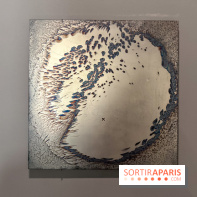 Ciel clair / eaux troubles : l’exposition de Steffani Jemison à Lafayette Anticipations à Paris - IMG 0066