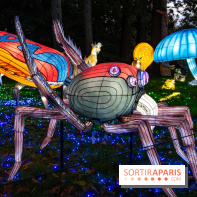 Thoiry Lumières Sauvages 2025 : le Bal des Esprits - A7C09480