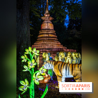 Thoiry Lumières Sauvages 2025 : le Bal des Esprits - A7C09486