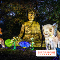 Thoiry Lumières Sauvages 2025 : le Bal des Esprits - A7C09487