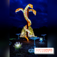 Thoiry Lumières Sauvages 2025 : le Bal des Esprits - A7C09503