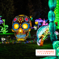 Thoiry Lumières Sauvages 2025 : le Bal des Esprits - A7C09508