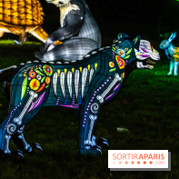 Thoiry Lumières Sauvages 2025 : le Bal des Esprits - A7C09509