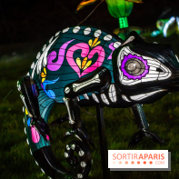 Thoiry Lumières Sauvages 2025 : le Bal des Esprits - A7C09521