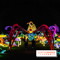 Thoiry Lumières Sauvages 2025 : le Bal des Esprits - A7C09541