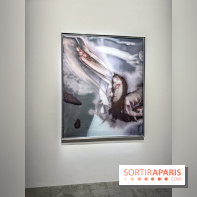 Palais de Tokyo : ECHO DELAY REVERB, l'expo mettant à l’honneur la création américaine contemporaine - IMG 0243