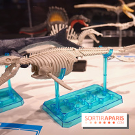 Exposition sur les Gunpla à Paris - nos photos