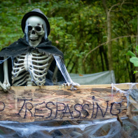 Les Forêts de la Terreur à Sherwood Parc - P1290227