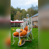 Les Forêts de la Terreur à Sherwood Parc - P1290156