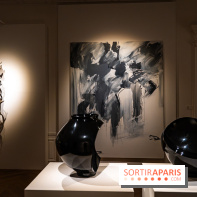 Exposition 'Couleurs de Corée, Lumière sur l’art contemporain coréen' au Centre Culturel Coréen - les photos - A7C09781