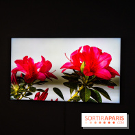 Exposition 'Couleurs de Corée, Lumière sur l’art contemporain coréen' au Centre Culturel Coréen - les photos - A7C09797