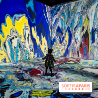 Exposition 'Couleurs de Corée, Lumière sur l’art contemporain coréen' au Centre Culturel Coréen - les photos - A7C09821