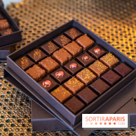 Bûche de Noël du Bristol 2025 signée Maxence Barbot : l'Art du Sommet - photos - A7C08943