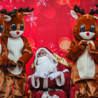 Les dimanches à l’Hippodrome Paris-Vincennes - BV 20241215134354BV1 6247