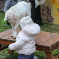 Le Meeting d'hiver arrive en Novembre à  l’Hippodrome Paris-Vincennes - 14