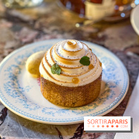 Tea Time Crillon - IMG 9478