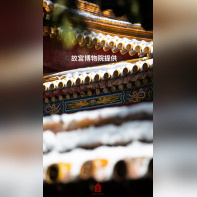 « Un siècle de conservation – de la Cité interdite au Musée du Palais » au Centre Culturel de Chine - 21大雪