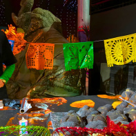 Festival Sabor a México 2025 : la gastronomie mexicaine rayonne à Paris - 12