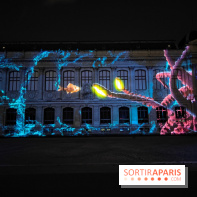 En voie d'illumination : Lumières de la nature : le festival nocturne hivernal du Jardin des Plantes - fotor 1762431466628