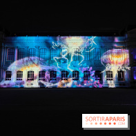 En voie d'illumination : Lumières de la nature : le festival nocturne hivernal du Jardin des Plantes - fotor 1762431514038