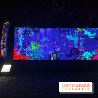 En voie d'illumination : Lumières de la nature : le festival nocturne hivernal du Jardin des Plantes