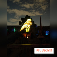 En voie d'illumination : Lumières de la nature : le festival nocturne hivernal du Jardin des Plantes