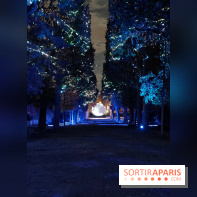 En voie d'illumination : Lumières de la nature : le festival nocturne hivernal du Jardin des Plantes