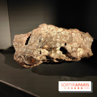 En voie d'illumination : Lumières de la nature : le festival nocturne hivernal du Jardin des Plantes - fotor 1762431619449