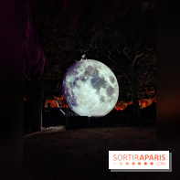 En voie d'illumination : Lumières de la nature : le festival nocturne hivernal du Jardin des Plantes