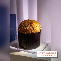 Bûches de Noël et créations de fête 2025 de Pierre Hermé : les Abysses - A7C07859