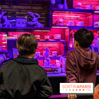 Les vitrines de Noël 2025 du Bon Marché : le grand magasin se métamorphose en (Bon) Marché de Noël