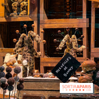 Les vitrines de Noël 2025 du Bon Marché : le grand magasin se métamorphose en (Bon) Marché de Noël - IMG 0726