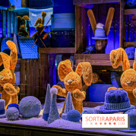 Les vitrines de Noël 2025 du Bon Marché : le grand magasin se métamorphose en (Bon) Marché de Noël - IMG 0782