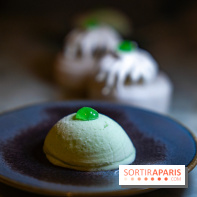 Florian Favario, le chef 2 étoiles en résidence au Lutetia, les photos - A7C00326