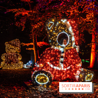 Lumières en Seine 2025, les photos du parcours de lumières - A7C00394