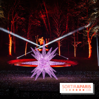 Lumières en Seine 2025, les photos du parcours de lumières - A7C00425