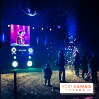 Lumières en Seine 2025, les photos du parcours de lumières - A7C00460